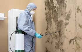 Best Mold Odor Removal Services in Edgemoor, DE